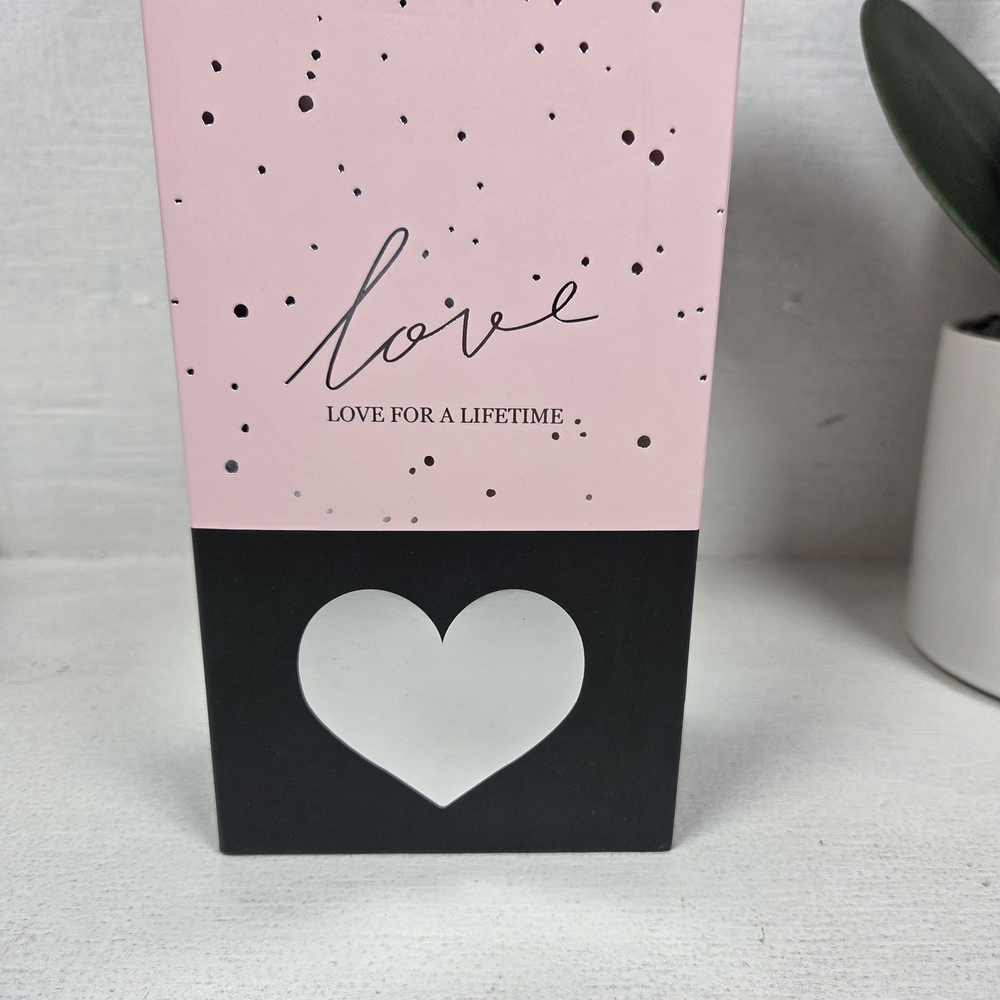 Pink and Black Love Thermos